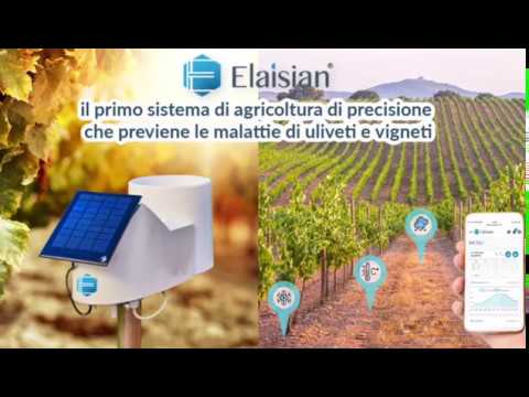 Elaisian - L&#039; agricoltura di precisione che previene le malattie di Uliveti e Vigneti